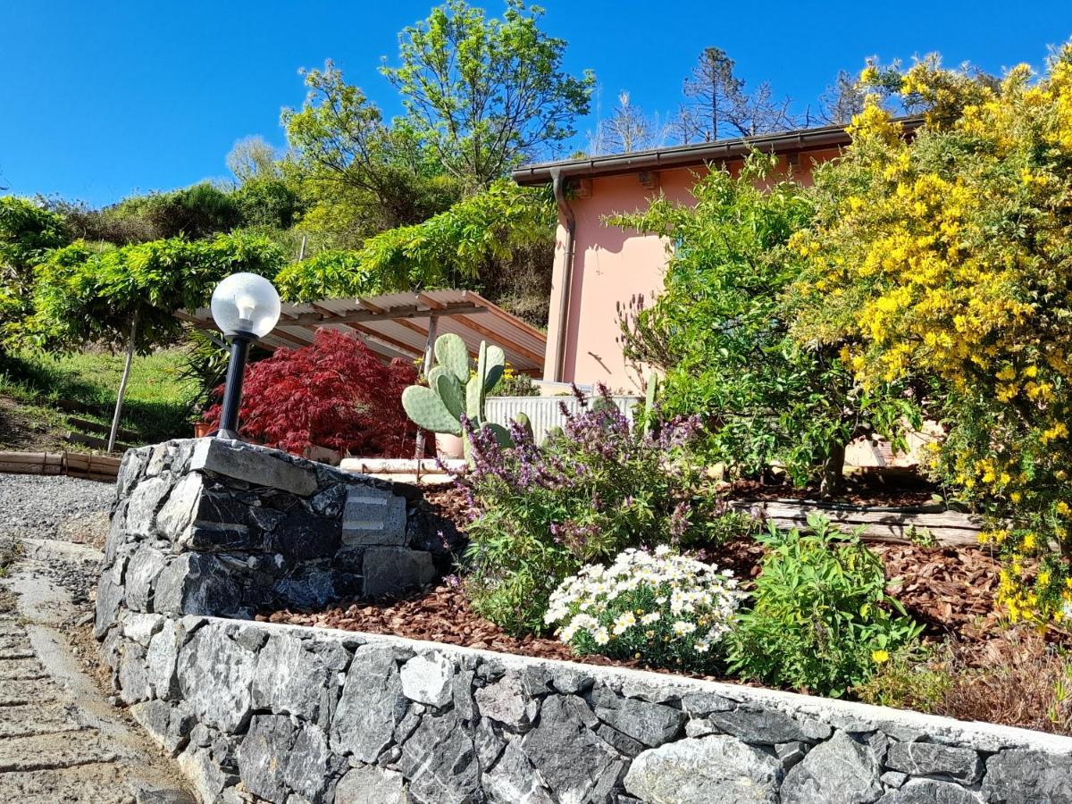Casa Cinzia Bonassola Cinque Terre公寓 外观 照片