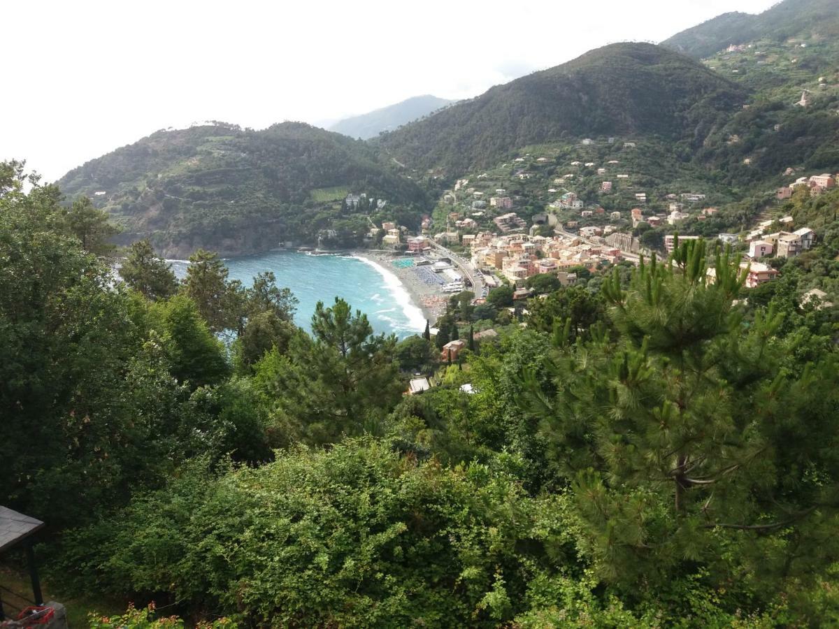 Casa Cinzia Bonassola Cinque Terre公寓 外观 照片